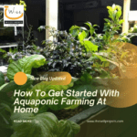 How To Get Started With Aquaponic Farming At Home