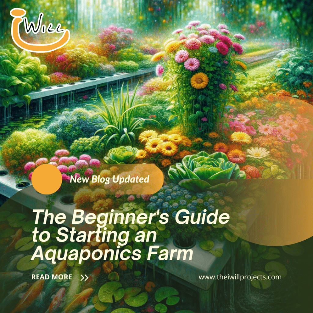 the-beginner-s-guide-to-starting-an-aquaponics-farm-the-i-will-projects