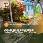 Aquaponics Education: What You Need To Know