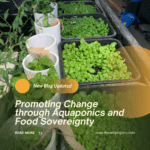Promoting Change through Aquaponics and Food Sovereignty