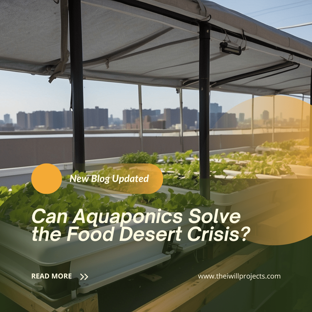 Can aquaponics solve the food desert crisis?