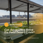 Can Aquaponics Solve the Food Desert Crisis?