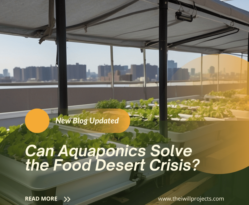 Can aquaponics solve the food desert crisis?