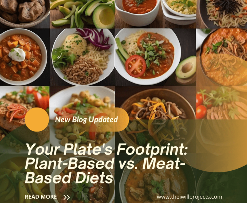 Plant-Based vs. Meat-Based Diets