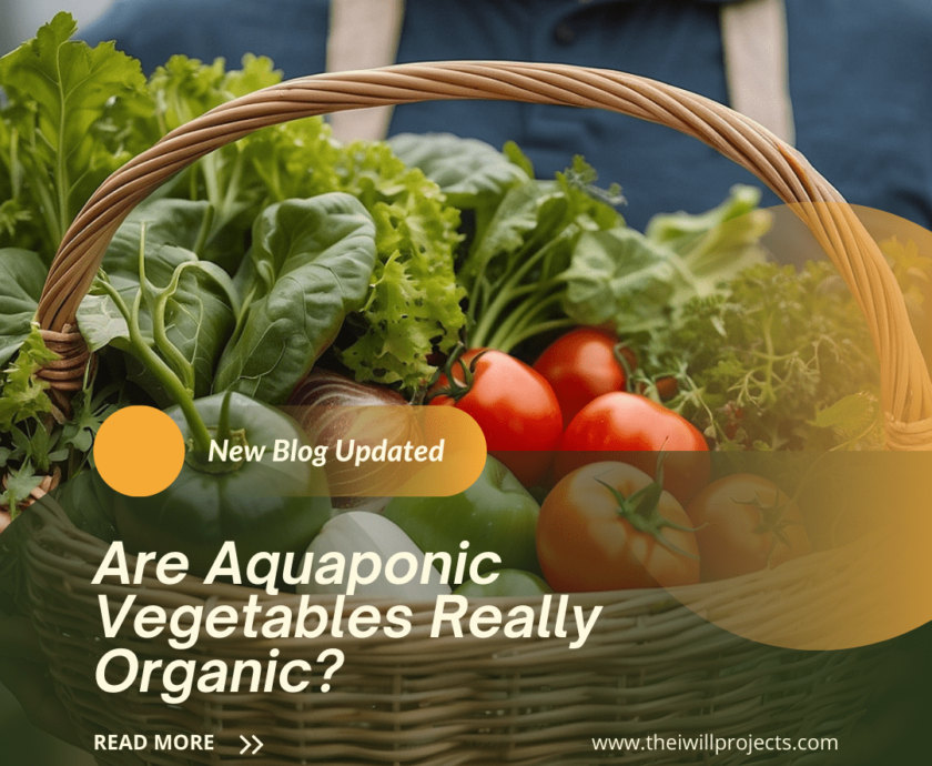 Are Aquaponic Vegetables Really Organic