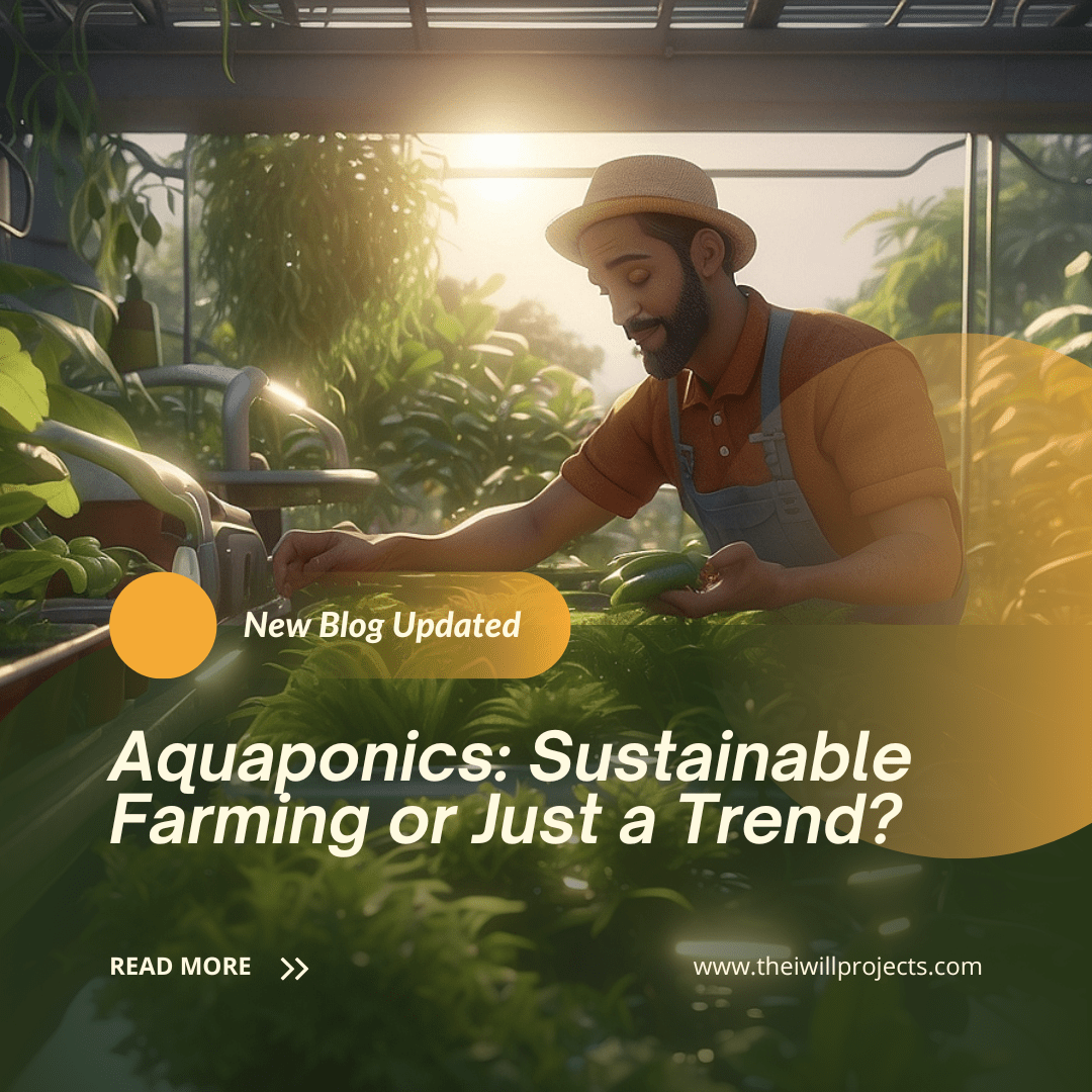 Aquaponics Sustainable Farming Benefits