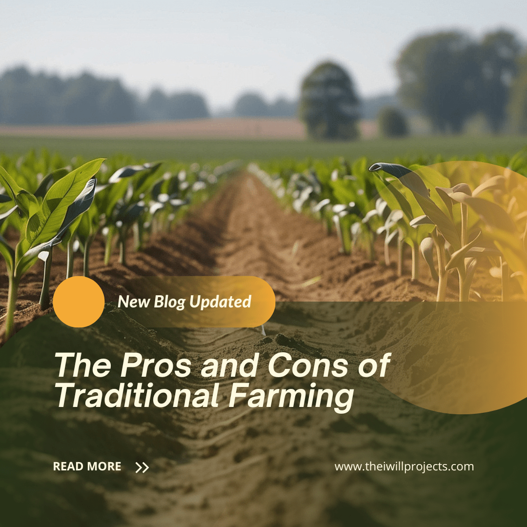 The Pros and Cons of Traditional Farming