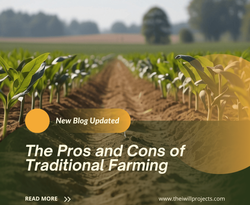 The Pros and Cons of Traditional Farming