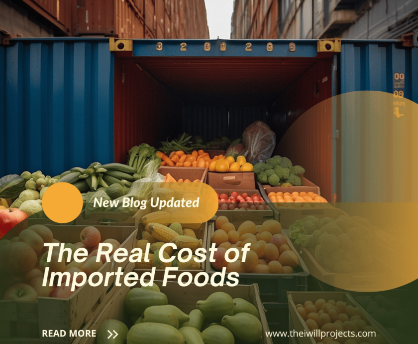 The Real Cost of Imported Foods