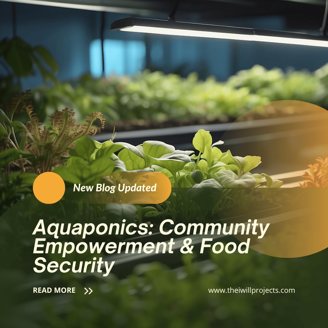 Aquaponics: Community Empowerment & Food Security