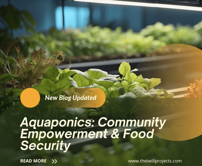 Aquaponics: Community Empowerment & Food Security