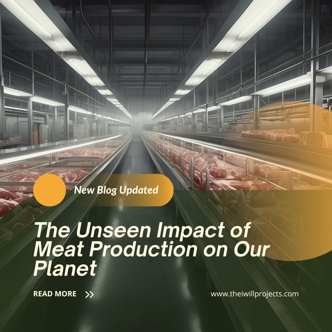 Unseen Impact of Meat Production on Our Planet