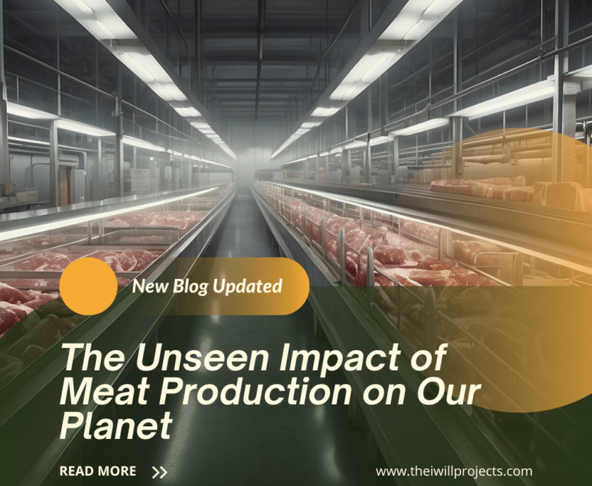 Unseen Impact of Meat Production on Our Planet