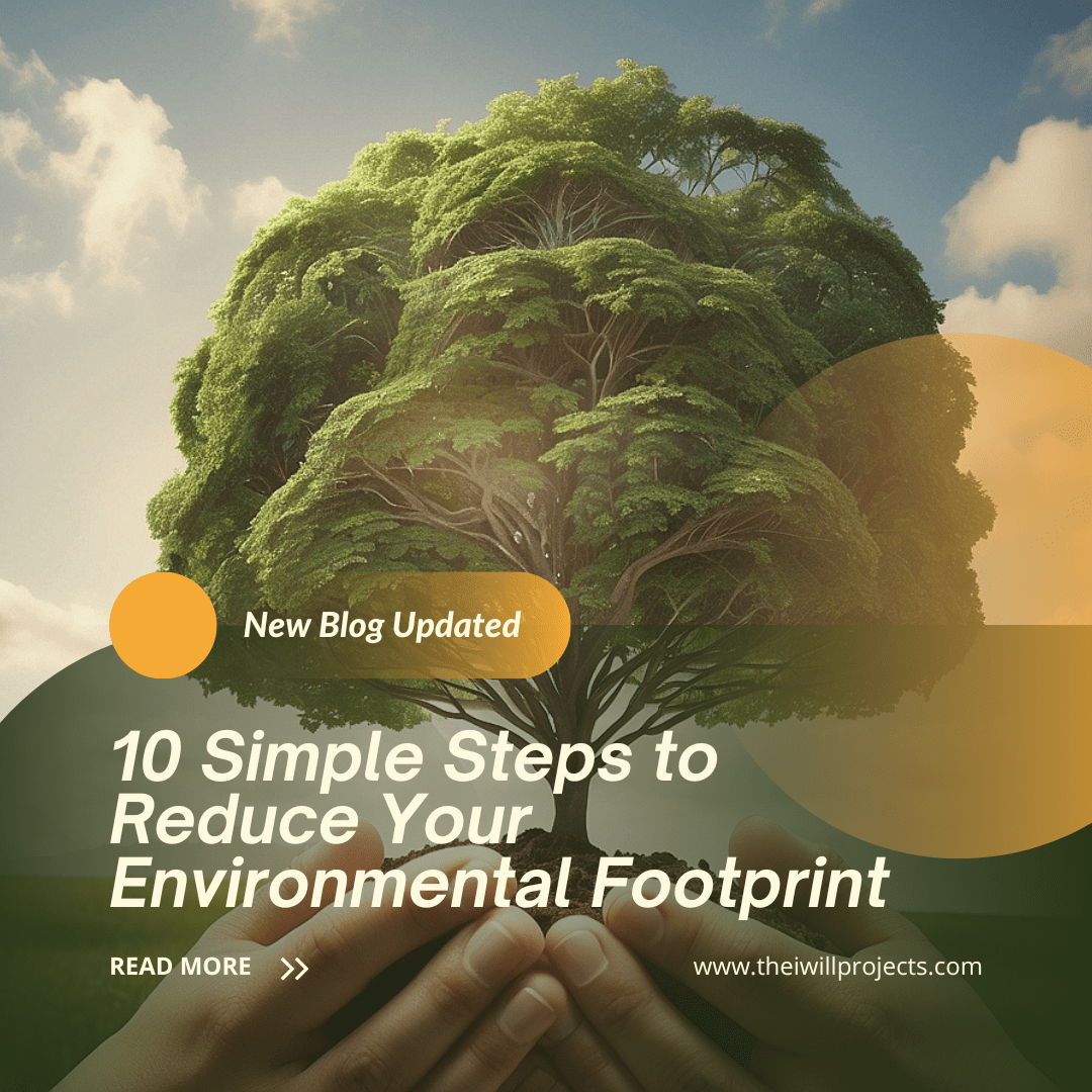 Steps to Reduce Your Environmental Footprint