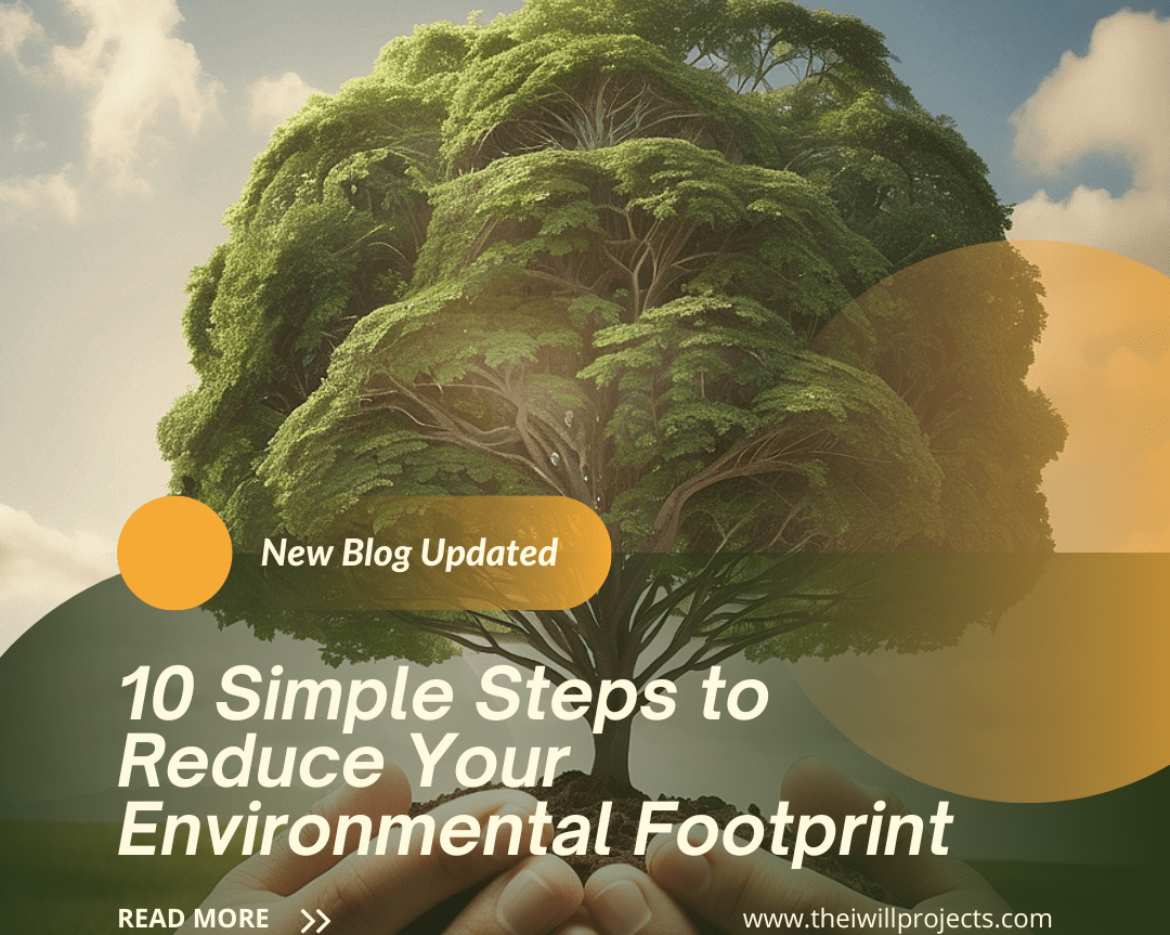 Steps to Reduce Your Environmental Footprint