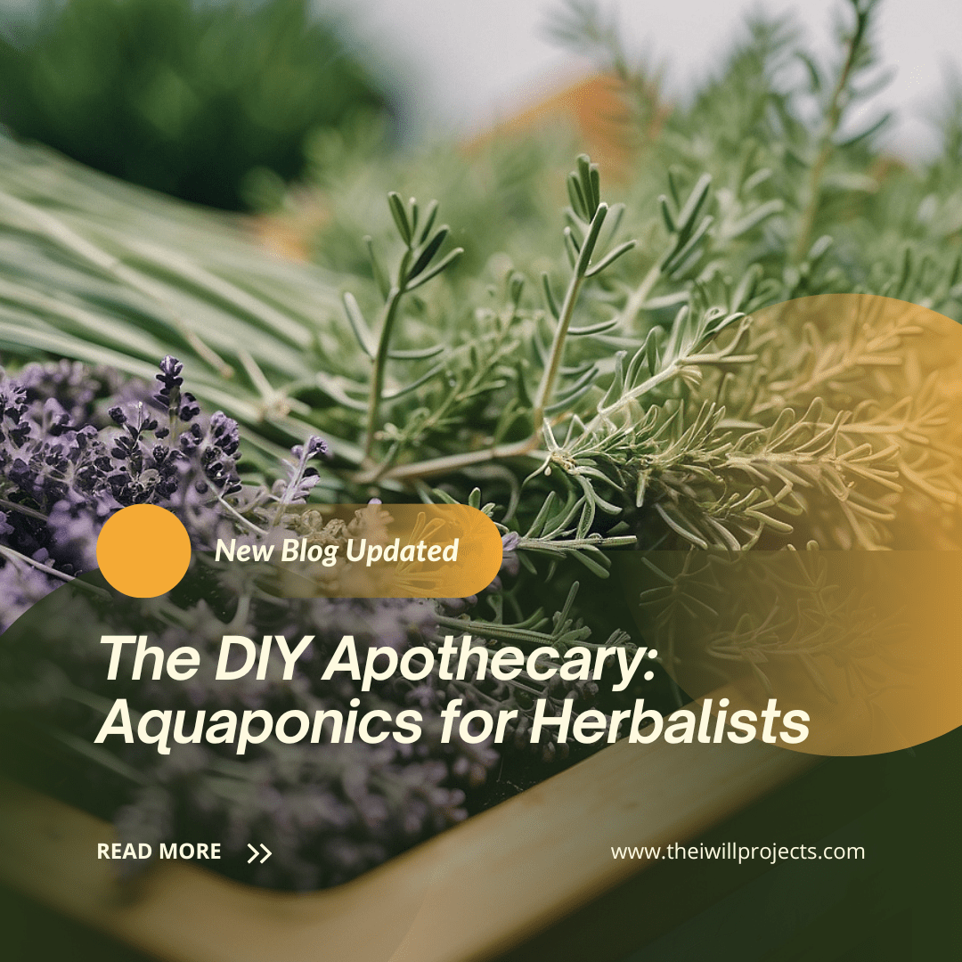 The DIY Apothecary: Aquaponics for Herbalists