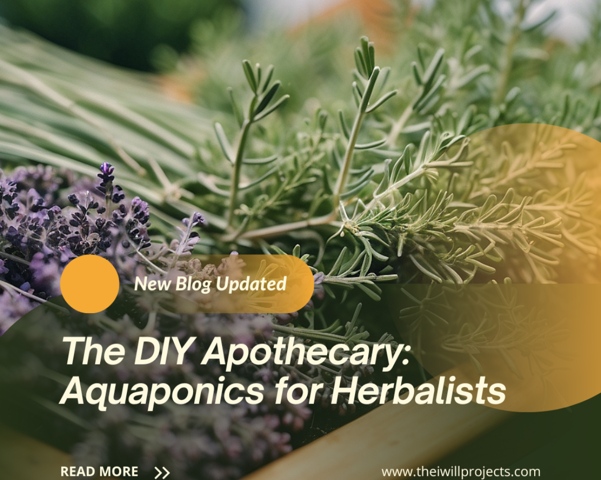 The DIY Apothecary: Aquaponics for Herbalists