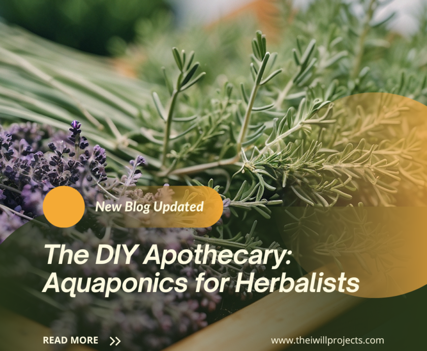 The DIY Apothecary: Aquaponics for Herbalists