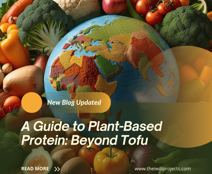 A Guide to Plant-Based Protein