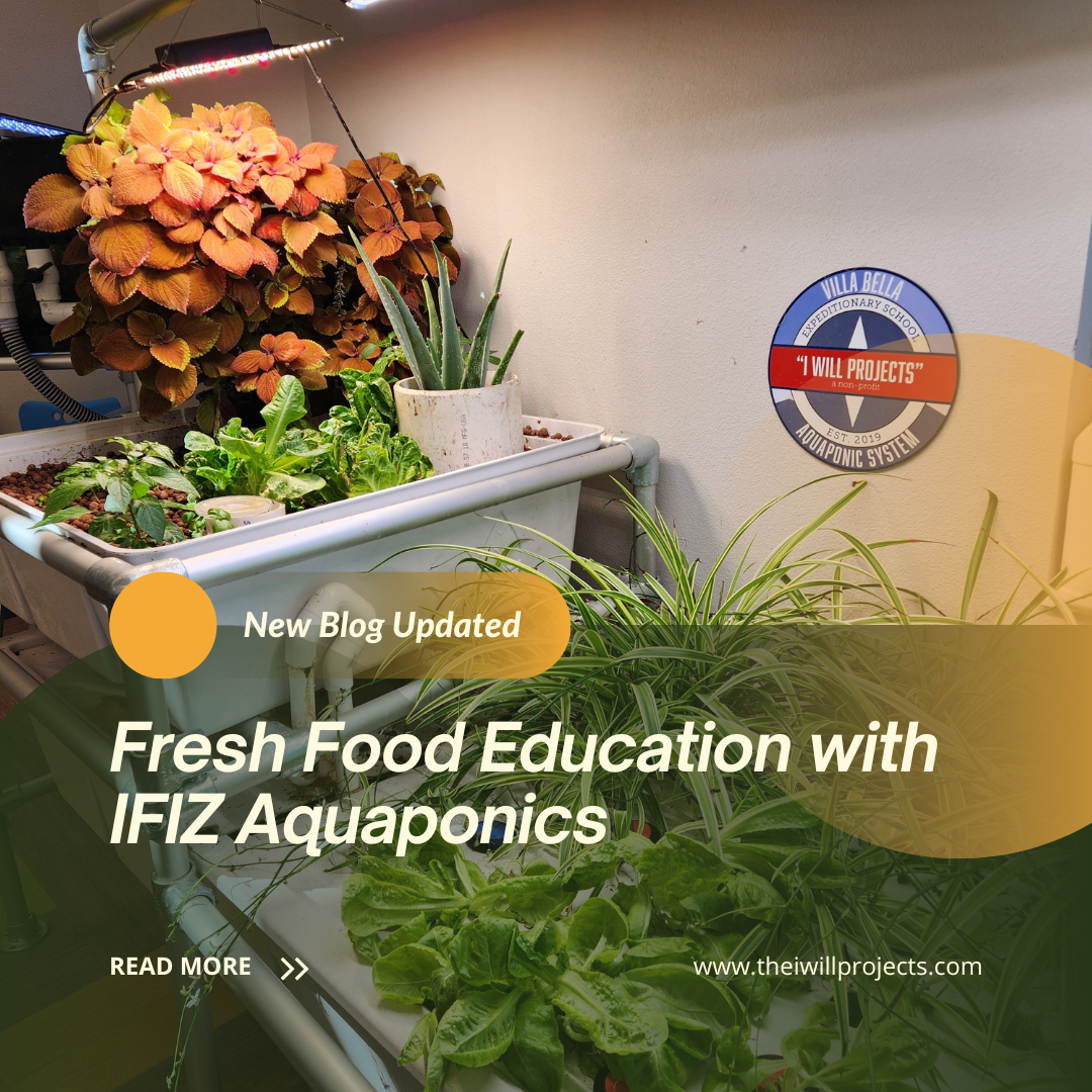 Fresh food education