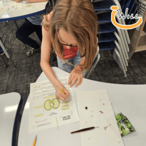 hands-on learning activities